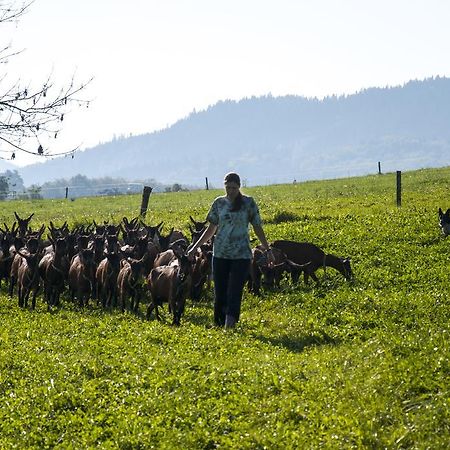 Agroturistika Kozi Farma Rožnov pod Radhoštěm Exterior foto