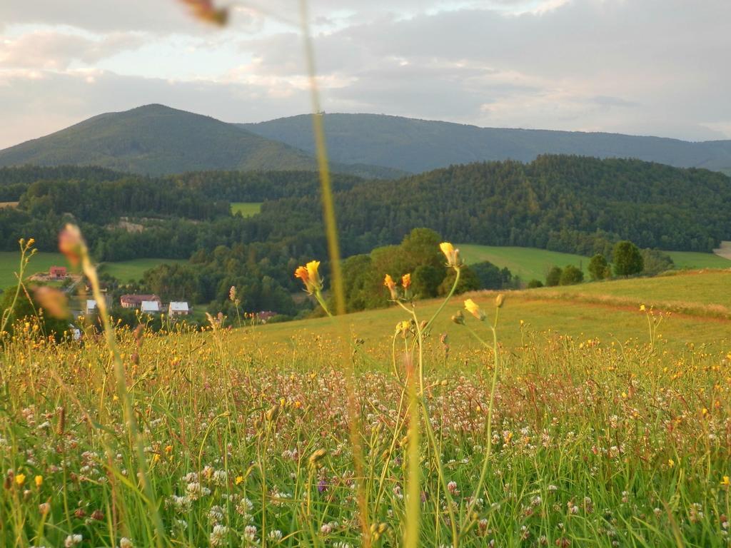 Agroturistika Kozi Farma Rožnov pod Radhoštěm Cameră foto